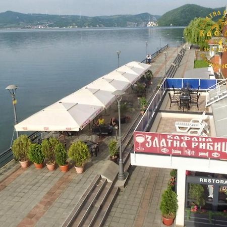 Zlatna Ribica Apartment Golubac Ngoại thất bức ảnh