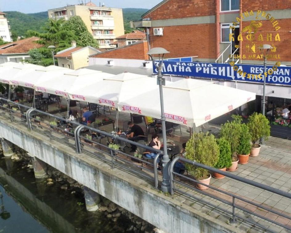 Zlatna Ribica Apartment Golubac Ngoại thất bức ảnh