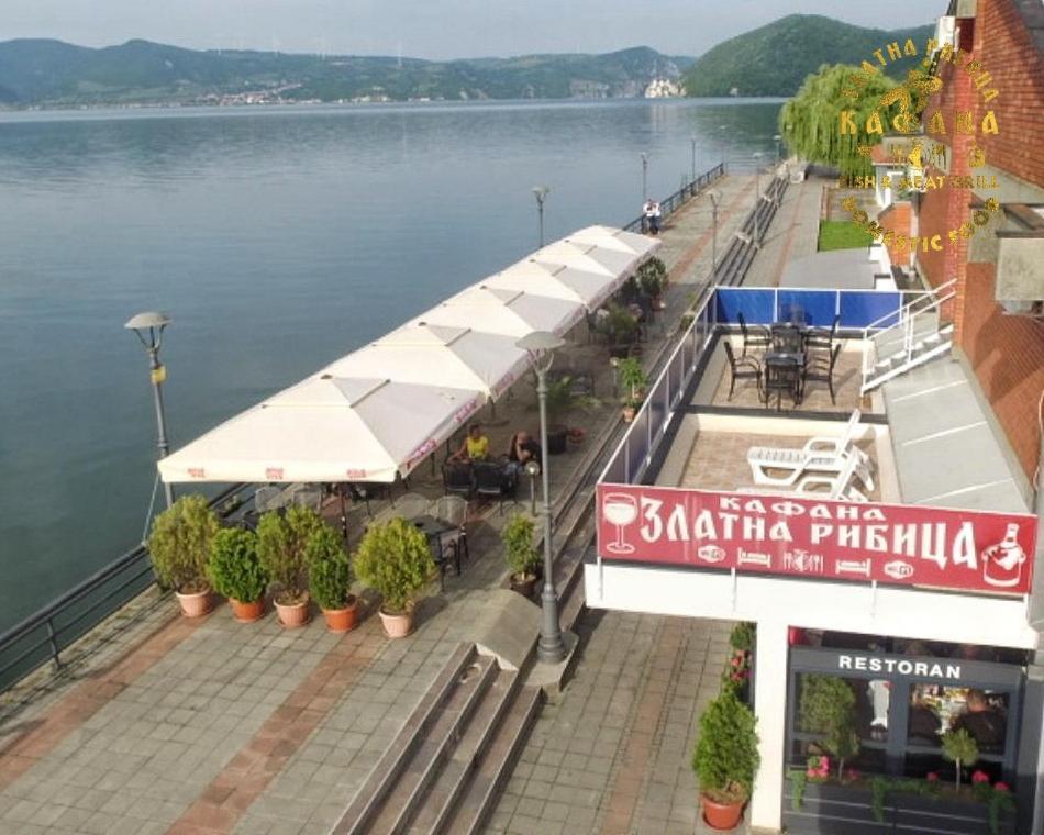 Zlatna Ribica Apartment Golubac Ngoại thất bức ảnh