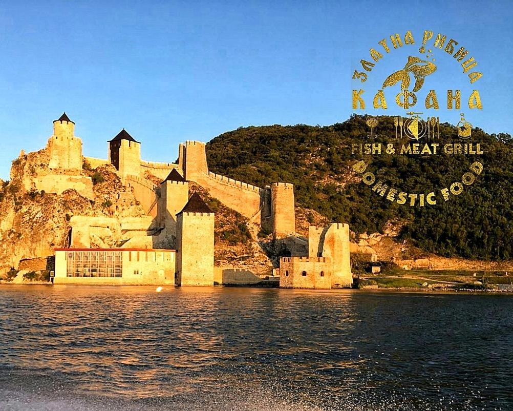 Zlatna Ribica Apartment Golubac Ngoại thất bức ảnh