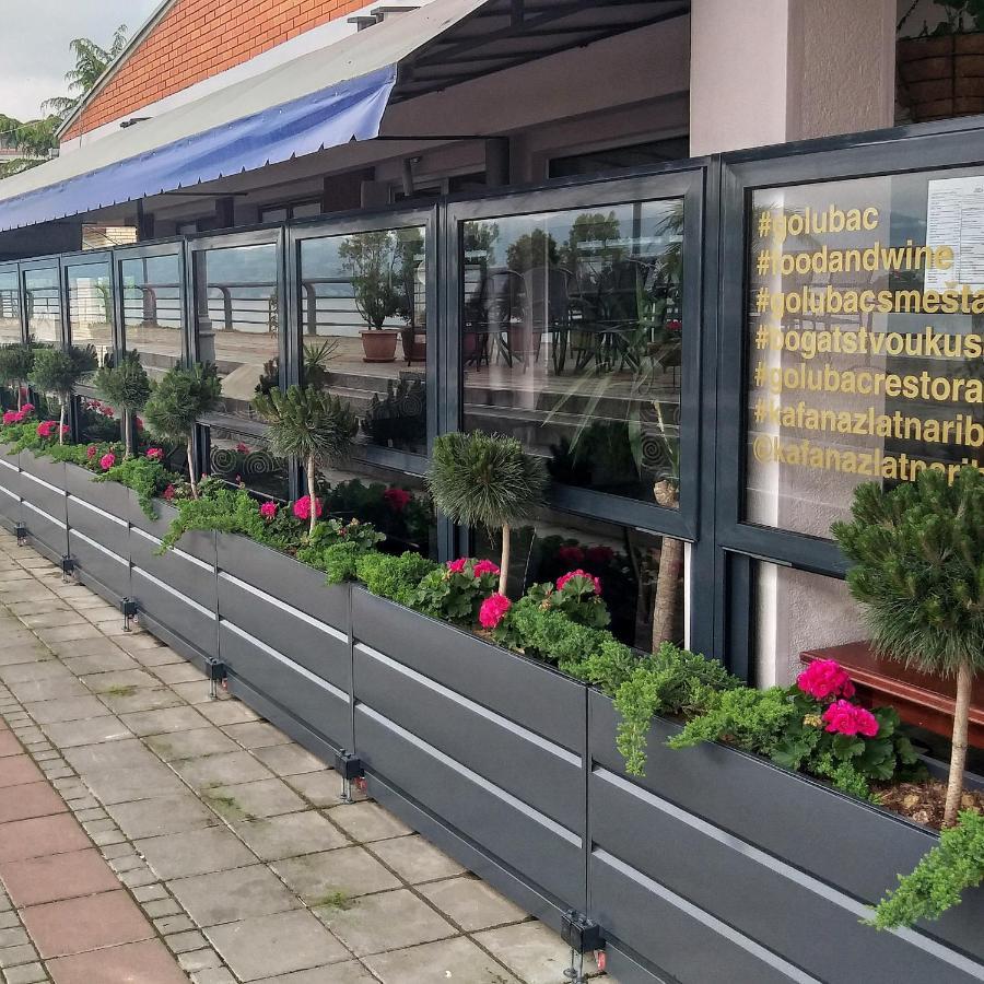 Zlatna Ribica Apartment Golubac Ngoại thất bức ảnh