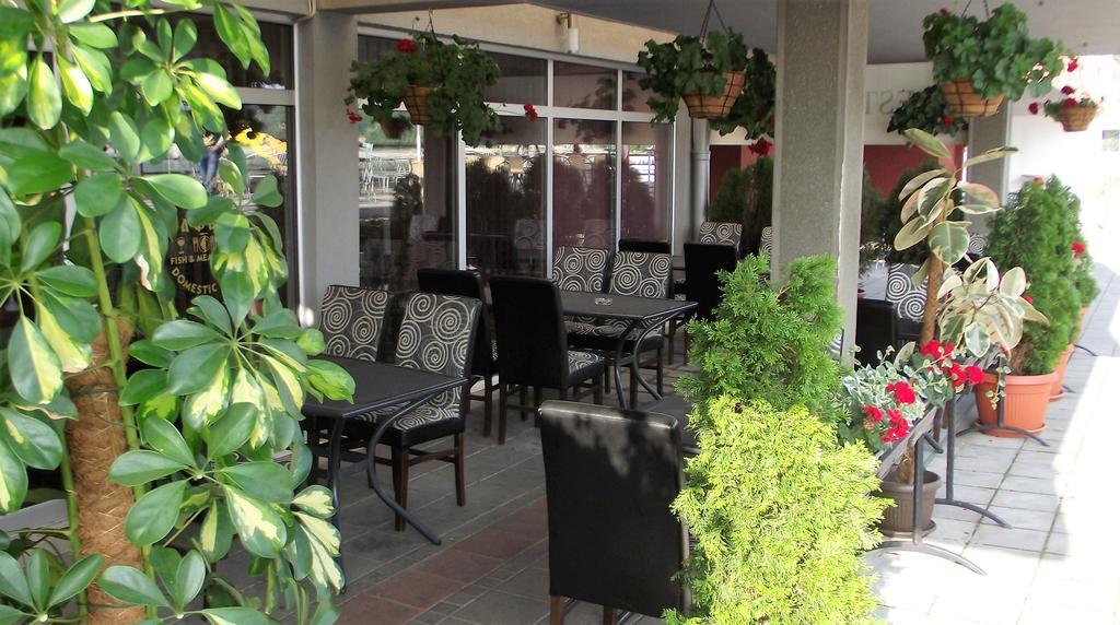 Zlatna Ribica Apartment Golubac Ngoại thất bức ảnh